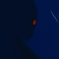 Corythornis cristatus